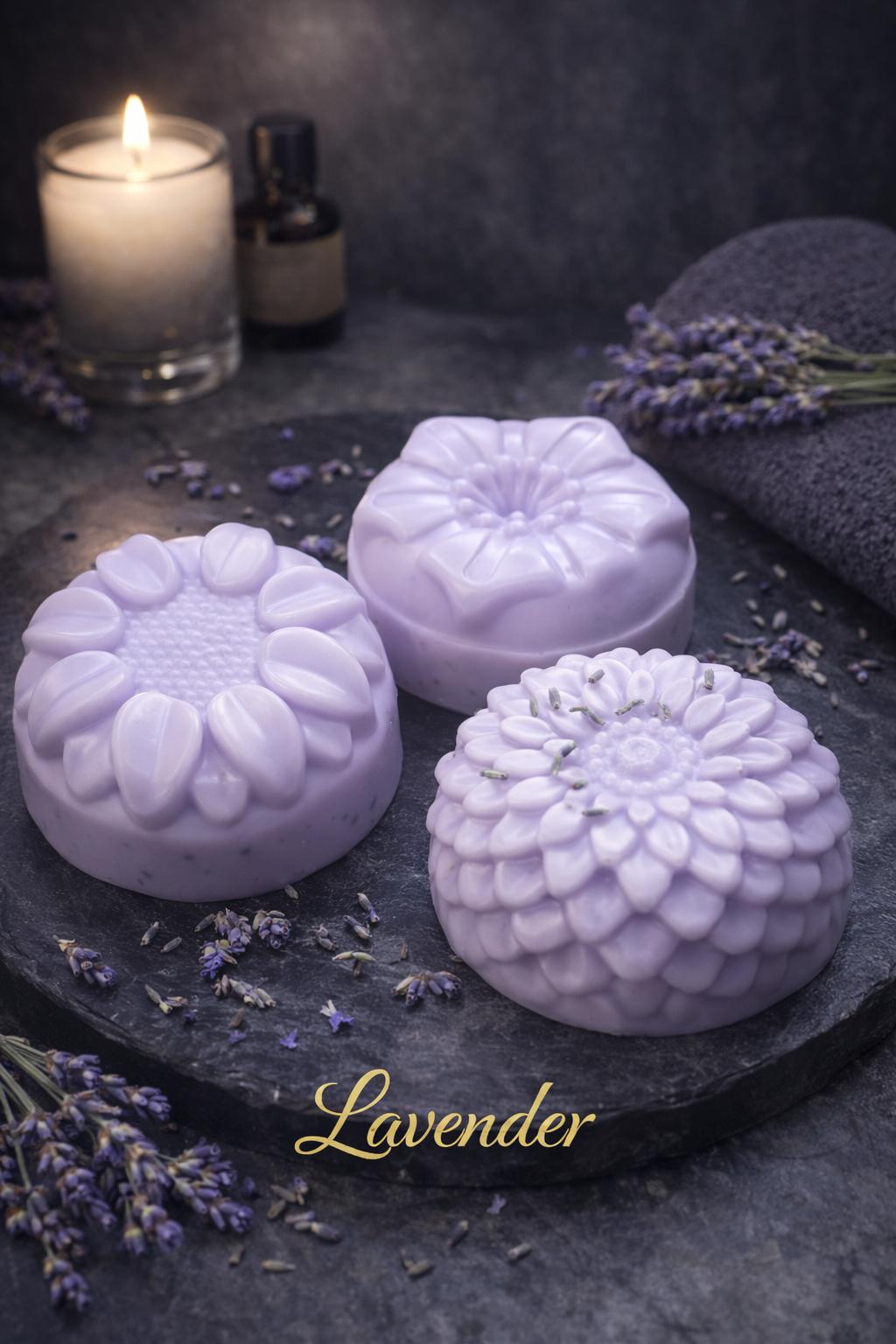🪻Lavender